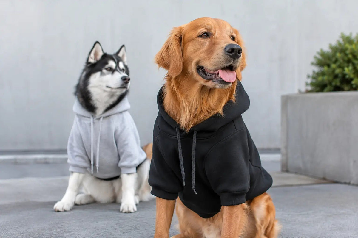 Dog Streetwear Hoodie: Fit, Style, and Attitude - BRAKELESS