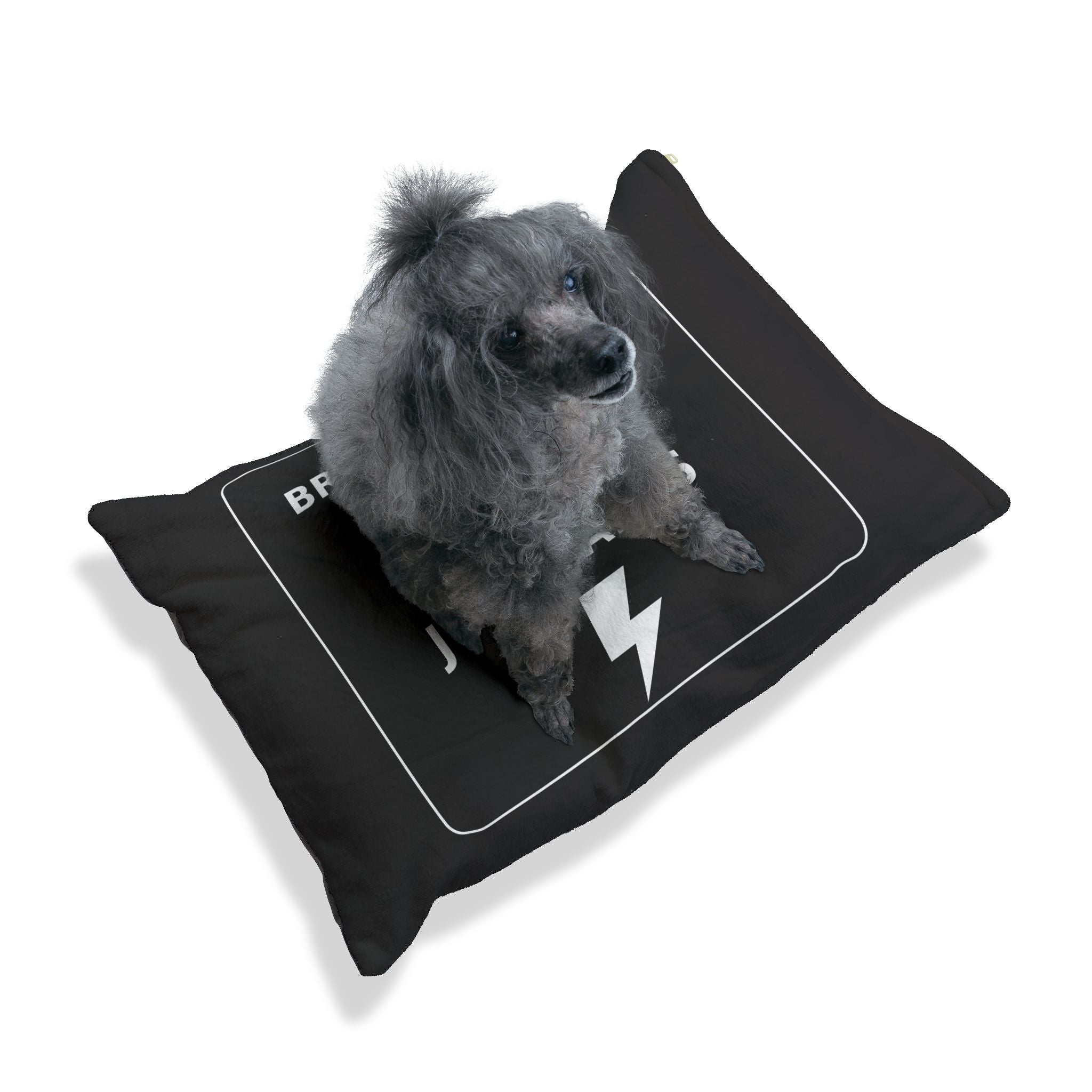 Pet Bed — "Brakeless Pets: No Brakes Just Barks" Plush Dog Bed