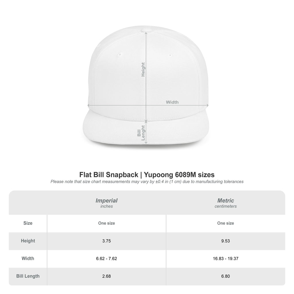 Brakeless Flat Bill Snapback Hat — Streetwear Grey Embroidered Cap