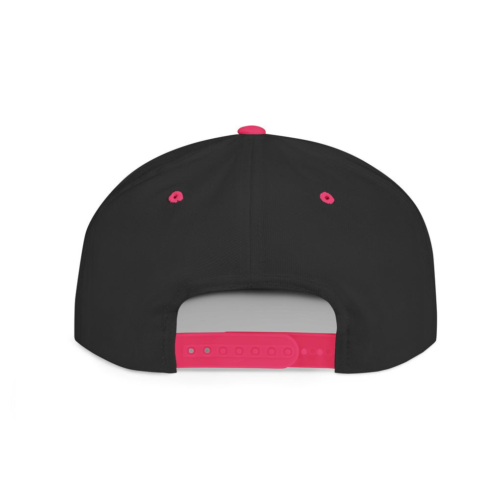 Brakeless Flat Bill Snapback Hat — Streetwear Grey Embroidered Cap