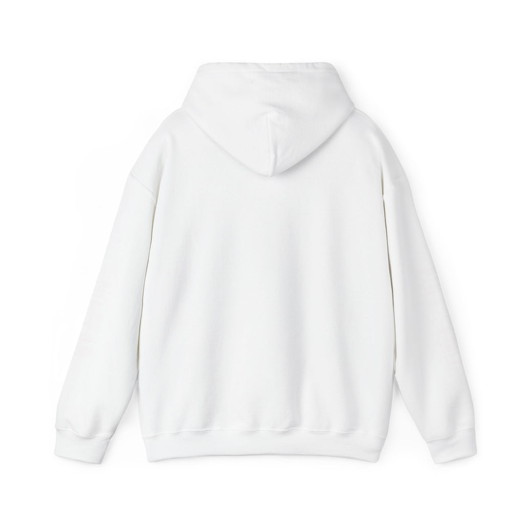 Hoodie — "I DON'T SLOW DOWN" / Full Send No Brakes Graphic Hoodie