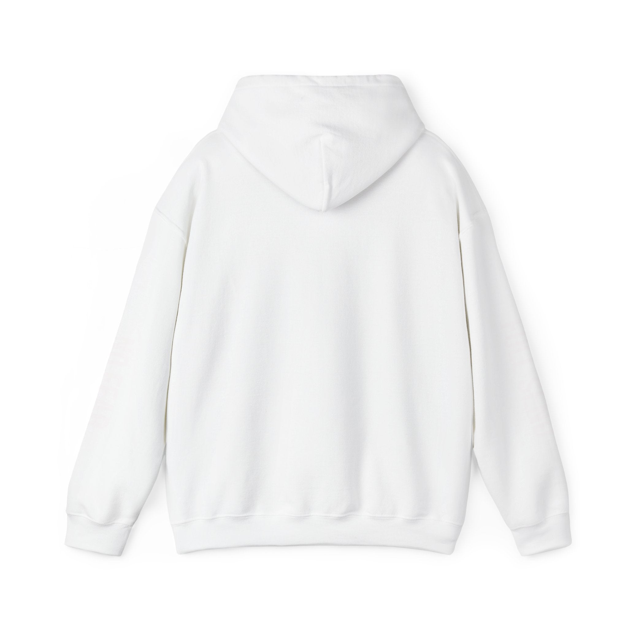 Hoodie — "I DON'T SLOW DOWN" / Full Send No Brakes Graphic Hoodie