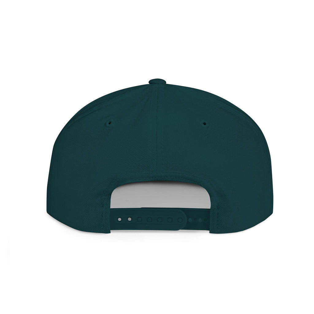 Snapback Hat — "BRAKELESS Stay Brakeless" Streetwear Cap