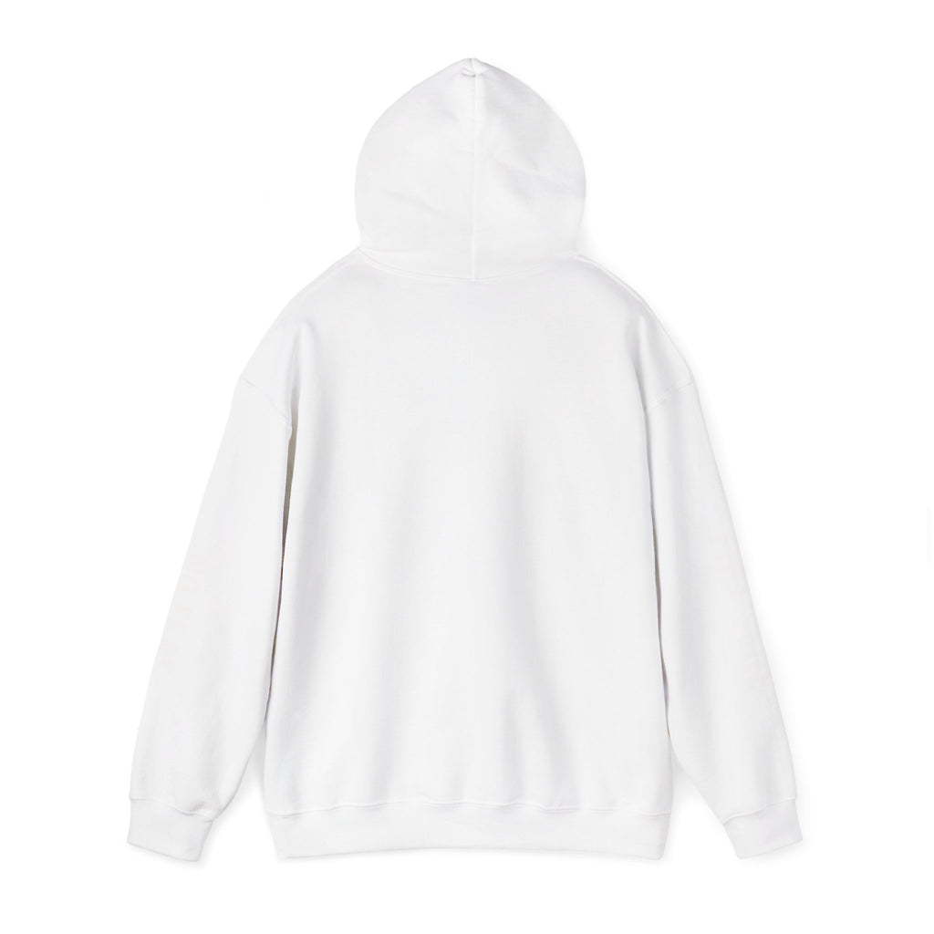 Hoodie — "I DON'T SLOW DOWN" / Full Send No Brakes Graphic Hoodie