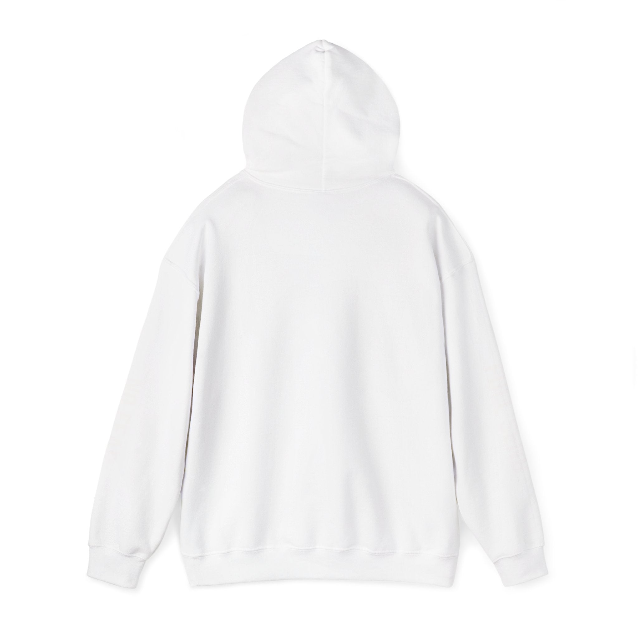 Hoodie — "I DON'T SLOW DOWN" / Full Send No Brakes Graphic Hoodie