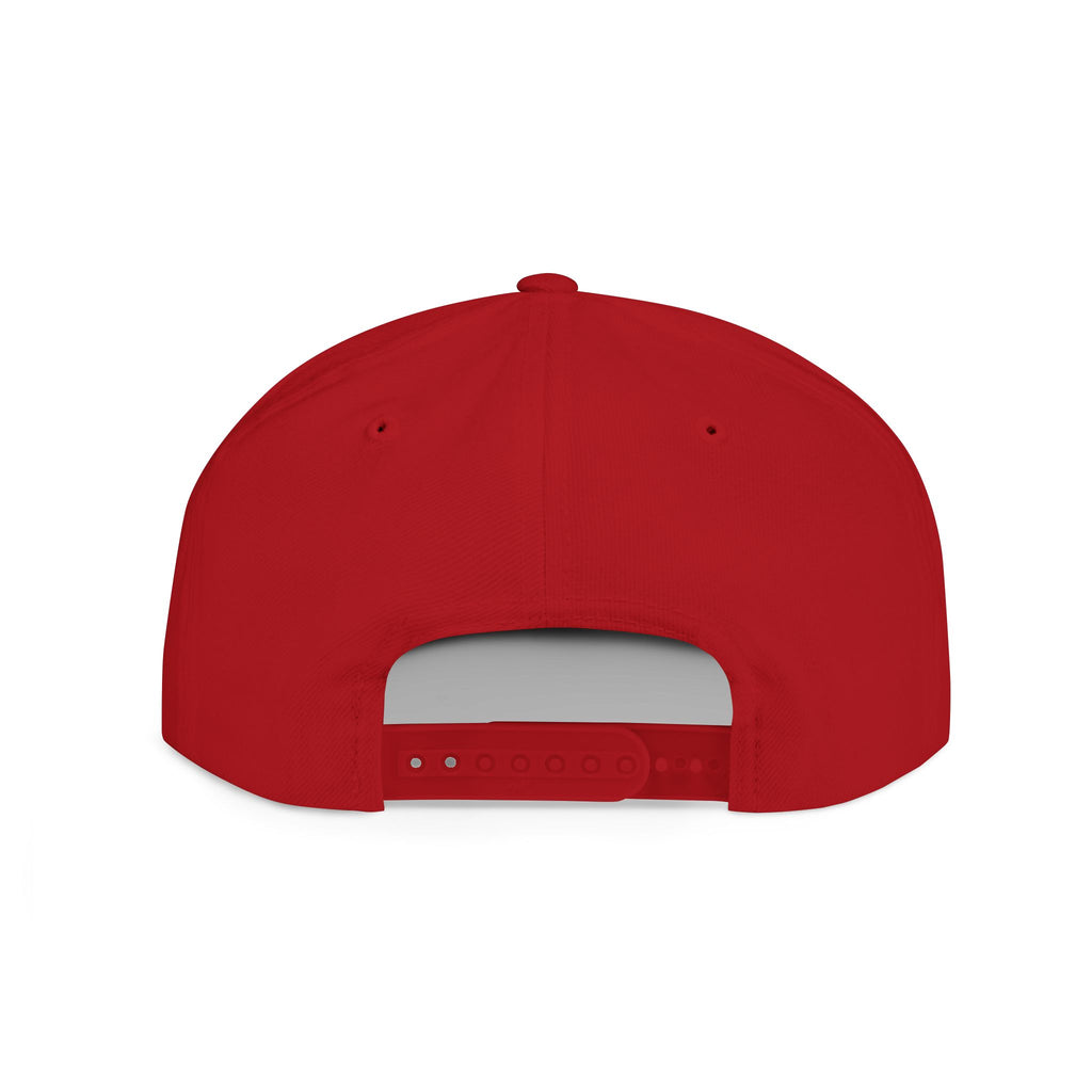 Snapback Hat — "BRAKELESS Stay Brakeless" Streetwear Cap