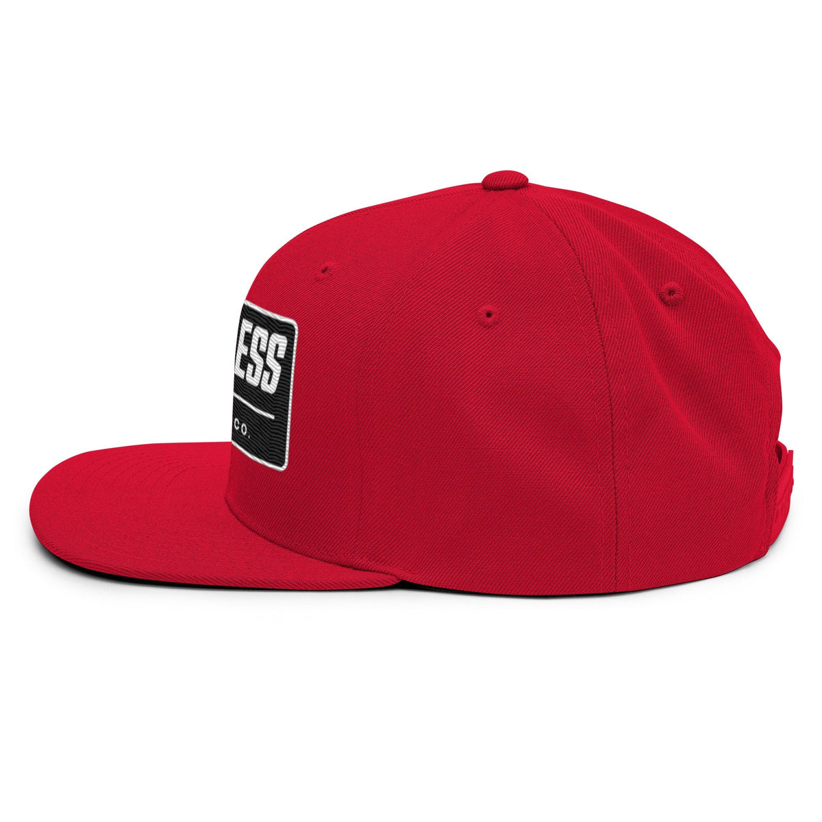 Brakeless Clothing Co. Snapback Hat - BRAKELESS