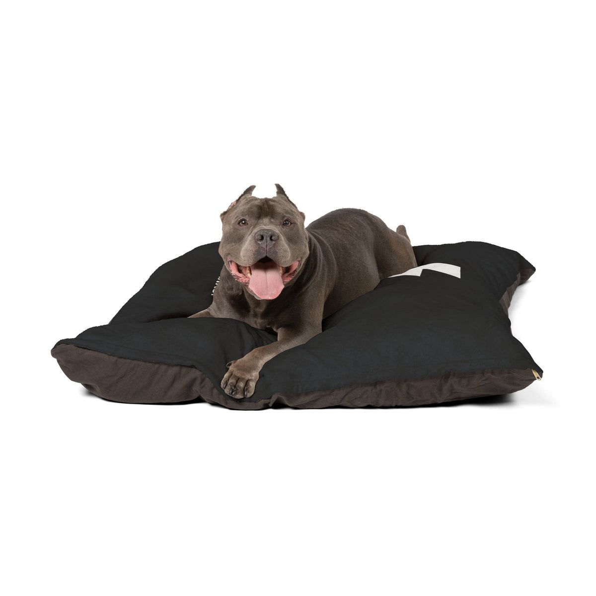 Brakeless Pets Plush Pet Bed — "No Brakes. Just Barks." - Pets - BRAKELESS