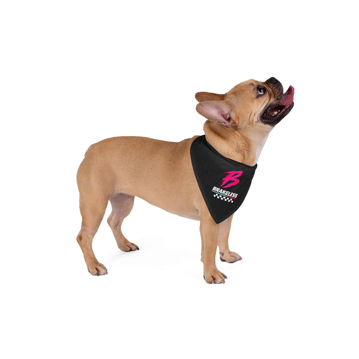 Brakeless Racing Logo Pet Bandana - Pets - BRAKELESS