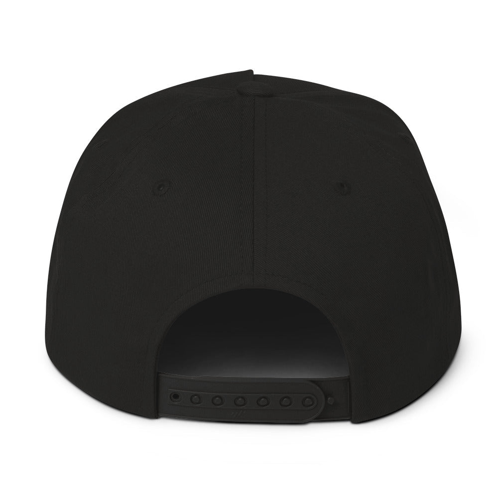 ALL GAS NO BRAKES Flat Bill Cap - BRAKELESS