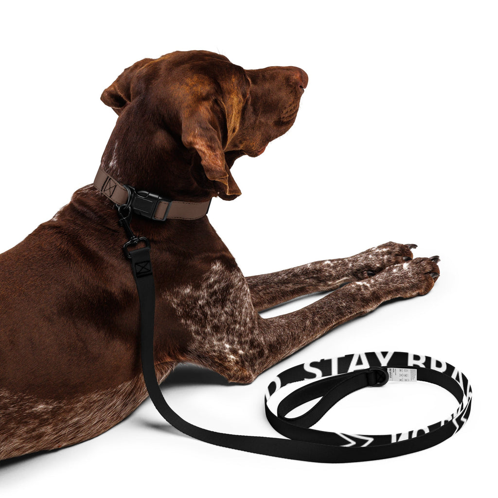 NO BRAKES. JUST BARKS. Pet leash - BRAKELESS