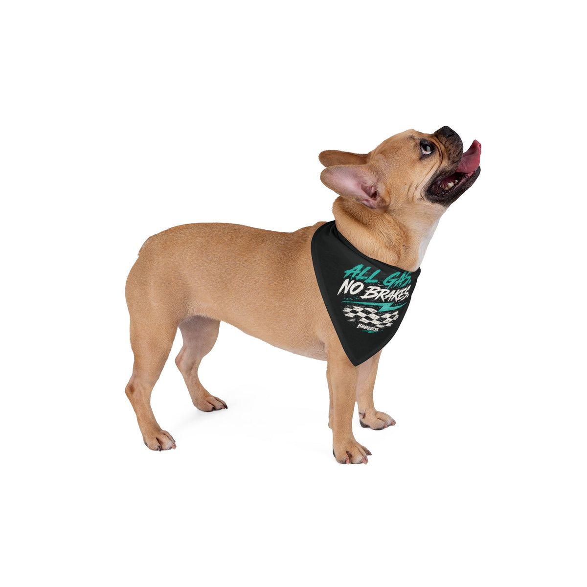 Pet Bandana — "All Gas, No Brakes" BRAKELESS Dog Bandana - Pets - BRAKELESS