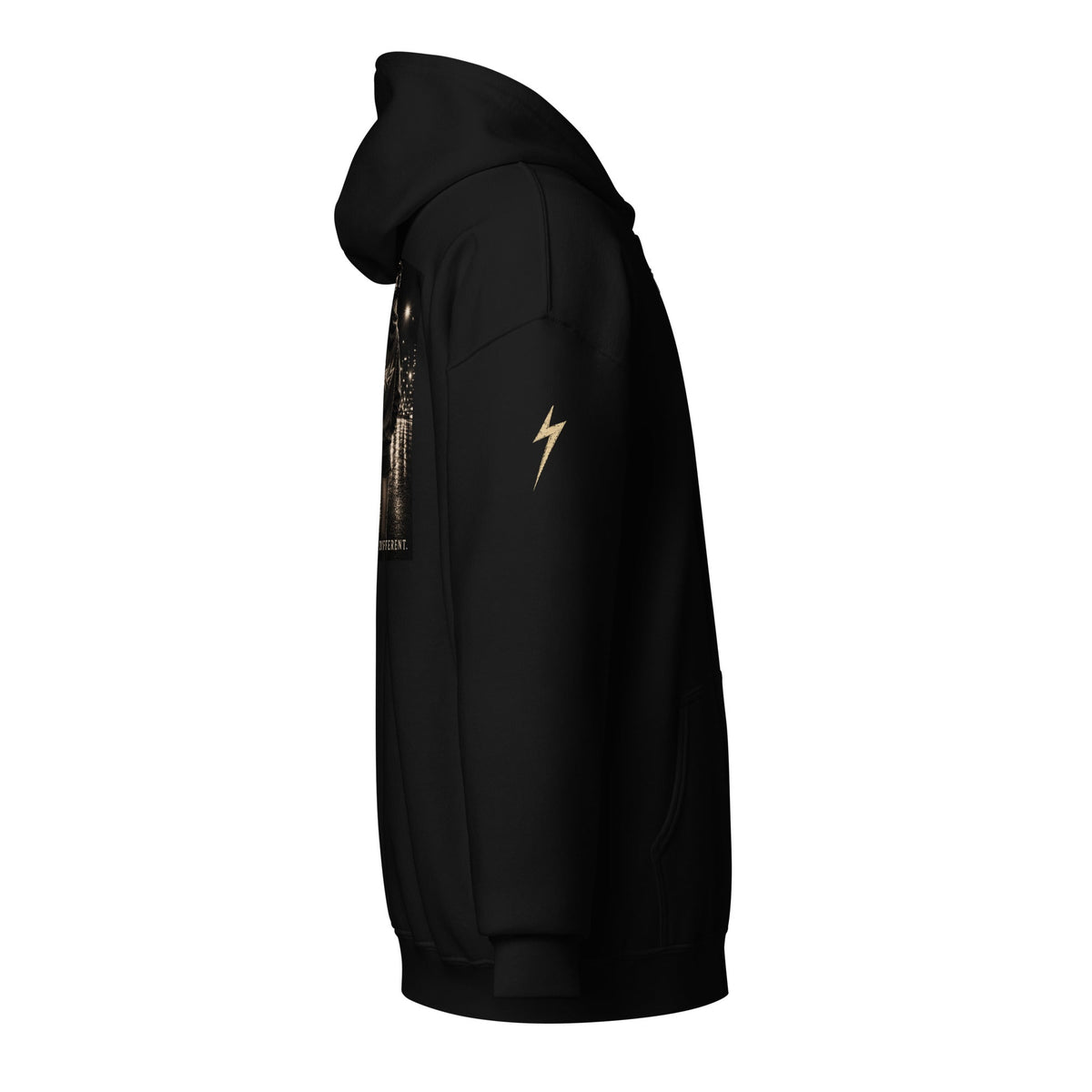 PRETTY GIRLS RIDE DIFFERENT - Heavy blend zip hoodie - BRAKELESS